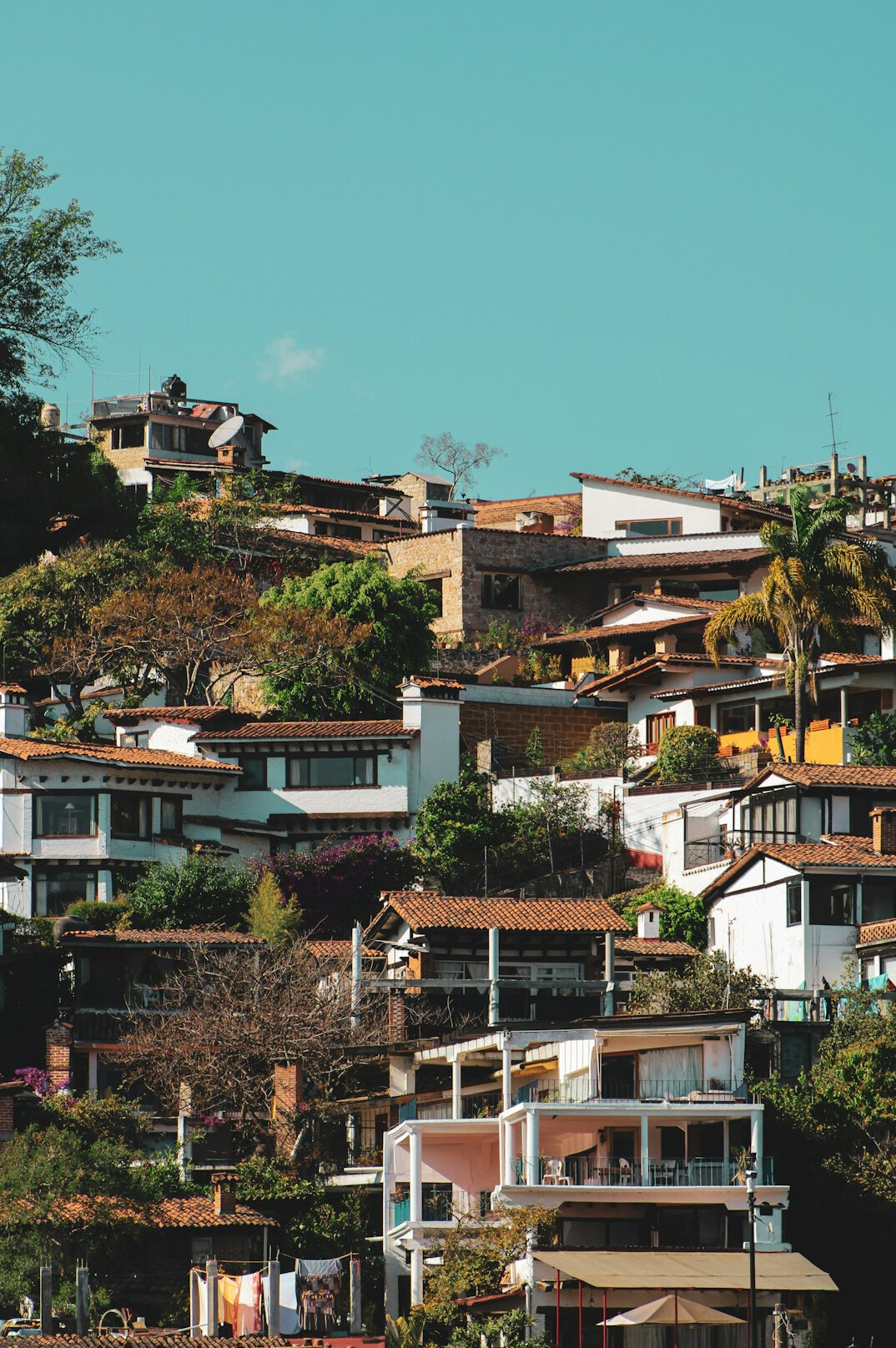 Colorful houses in a hillside neighborhood